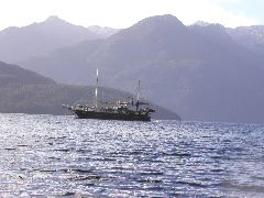 Wanderer on Doubtful Sound