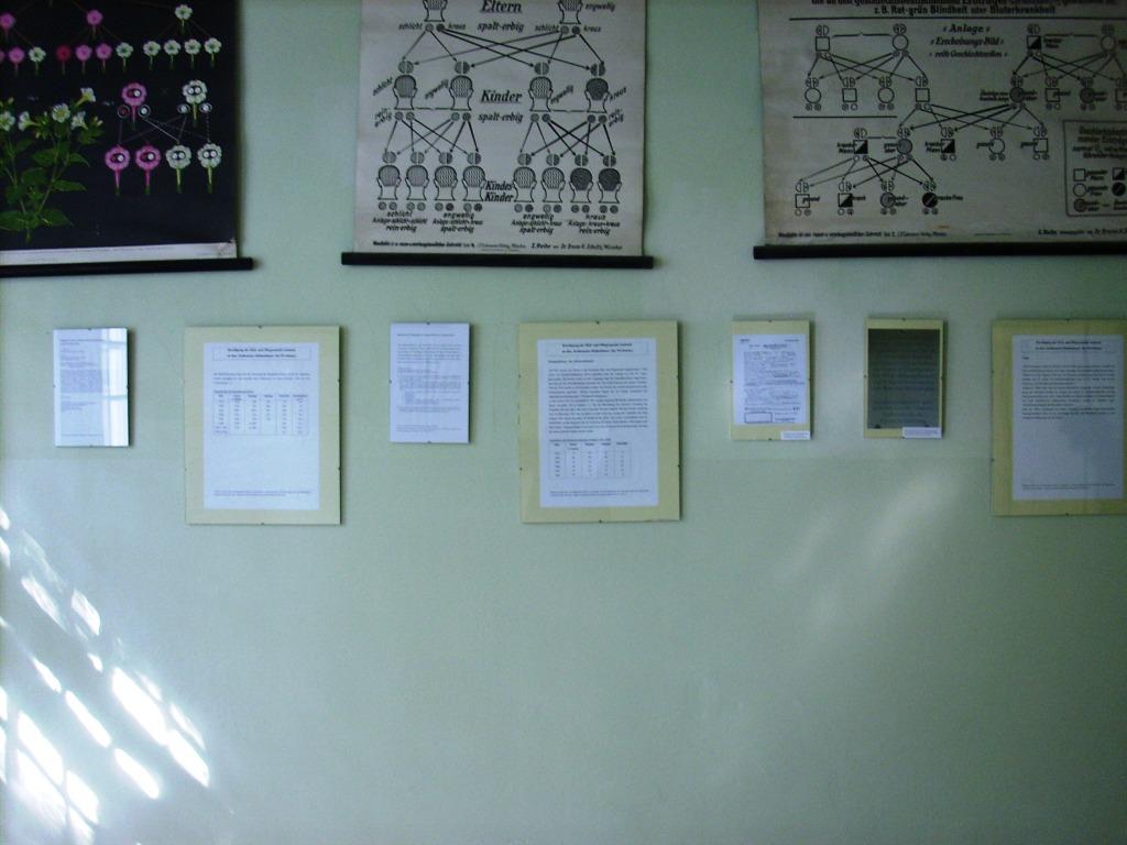 Second display on euthanasia crimes