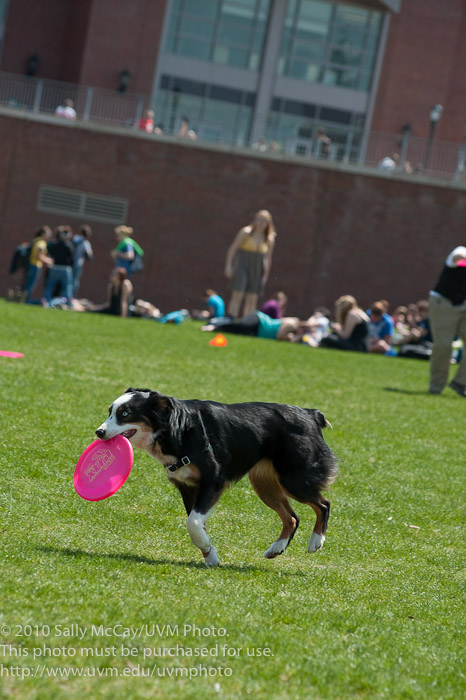 20100421_Davis_Center-32