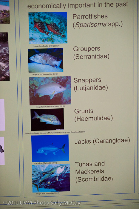 20100422-Research_Fair-192