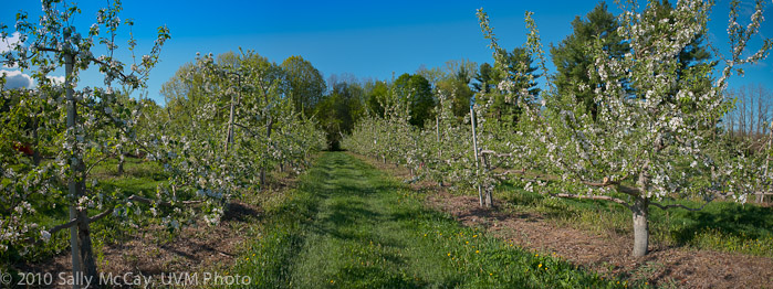 20100507_Hort_Farm-13