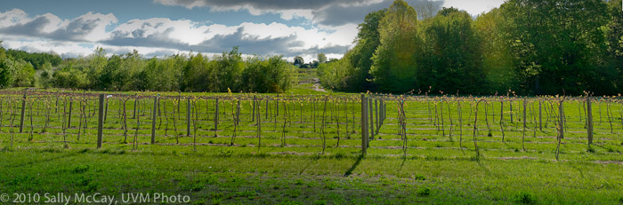 20100507_Hort_Farm-14