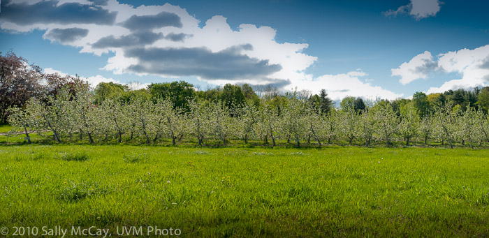 20100507_Hort_Farm-15