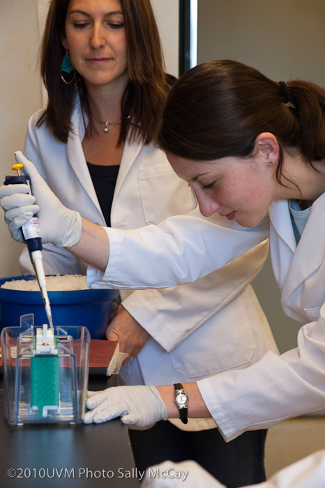 20100512_CNHS-233-2