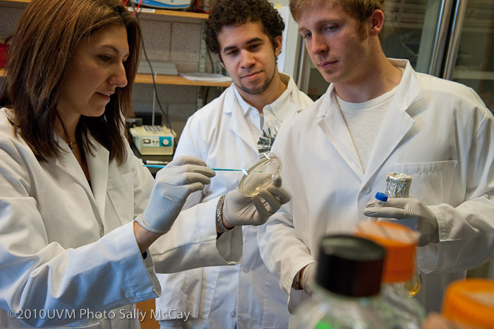 20100512_CNHS-267-2