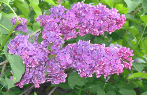 image016.jpg