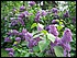 image014.jpg