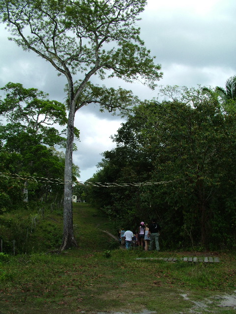 DSCF2114.JPG