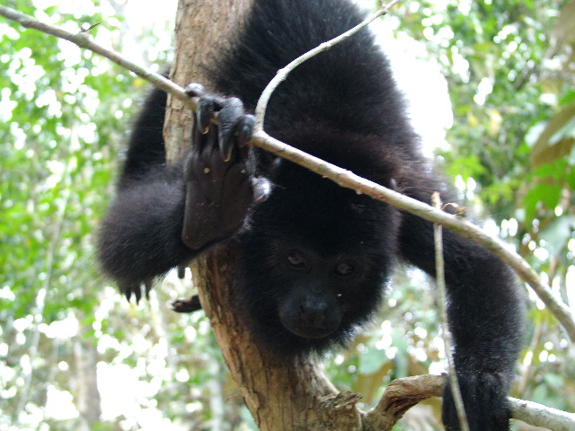 DSCF2130.JPG