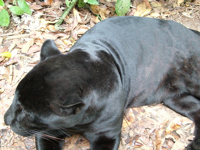 DSCF2151.JPG