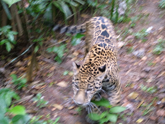 DSCF2161.JPG