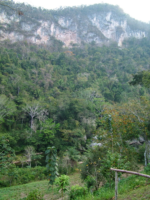 DSCF2192.JPG