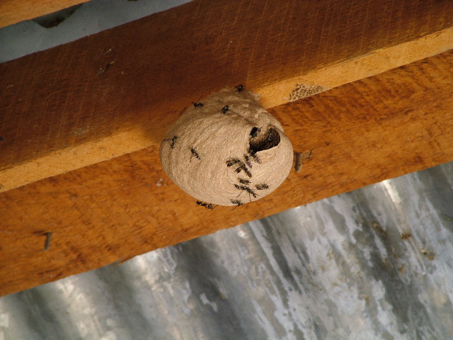 DSCF2233.JPG