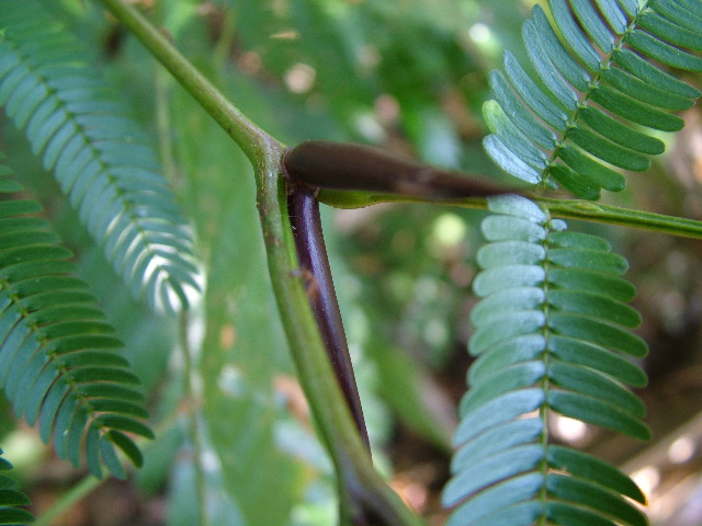 DSCF2293.JPG