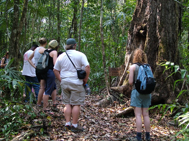 DSCF2011.JPG