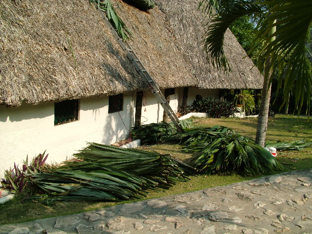 DSCF2324.JPG