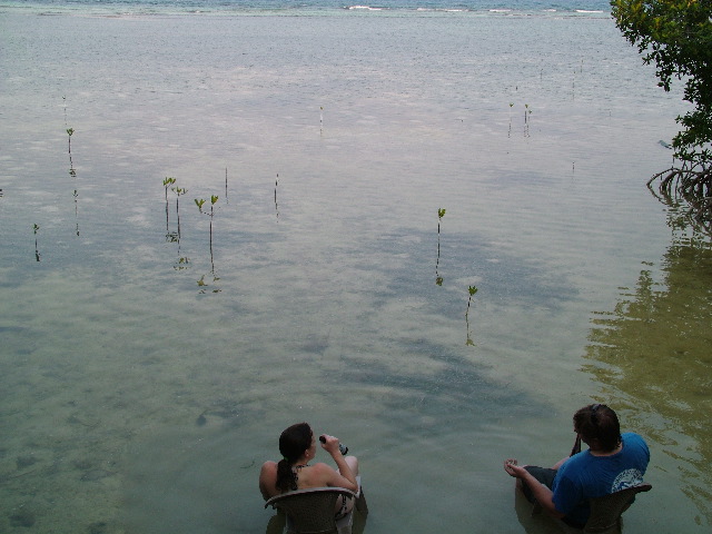 DSCF2345.JPG