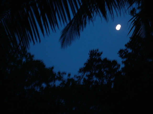 DSCF2361.JPG