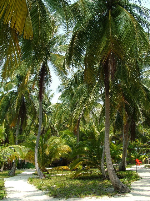 DSCF2401.JPG