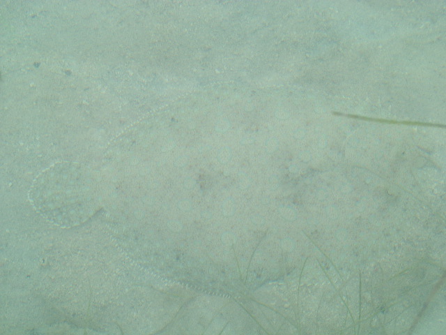 DSCF2416.JPG