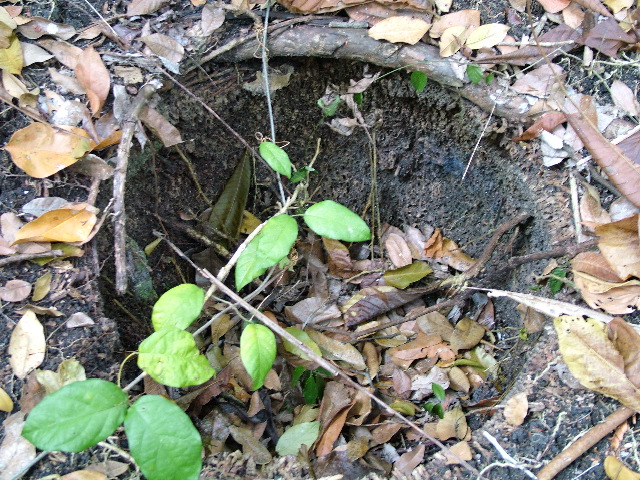 DSCF2040.JPG