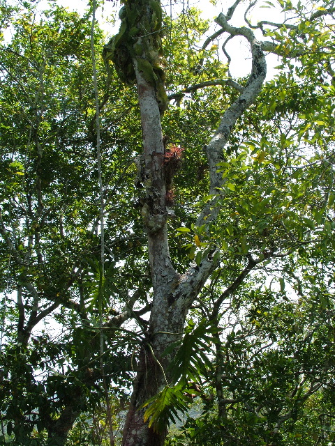 DSCF2059.JPG