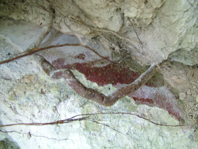 DSCF2082.JPG
