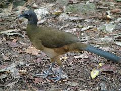 DSCF2173.JPG