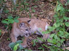 DSCF2179.JPG