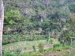 DSCF2193.JPG