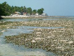 DSCF2352.JPG