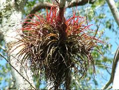 DSCF2058.JPG
