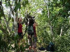 DSCF2060.JPG