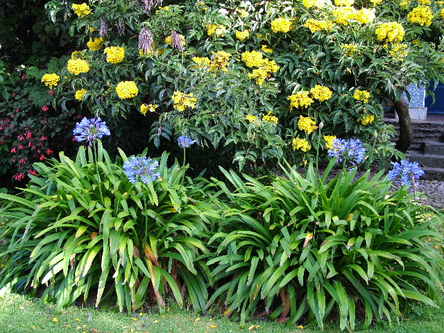 DSCF2639.JPG