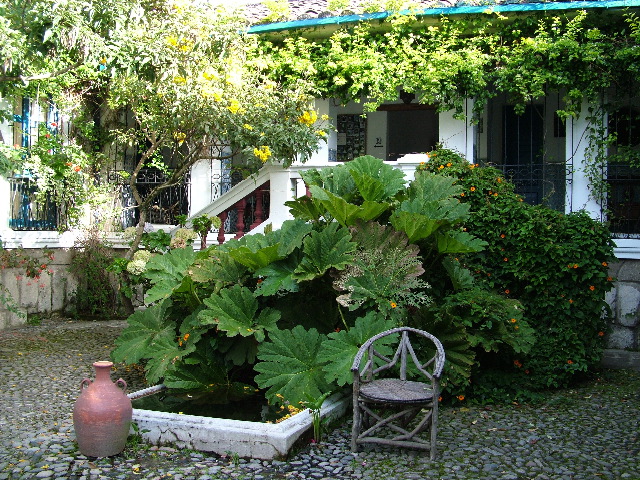 DSCF2640.JPG
