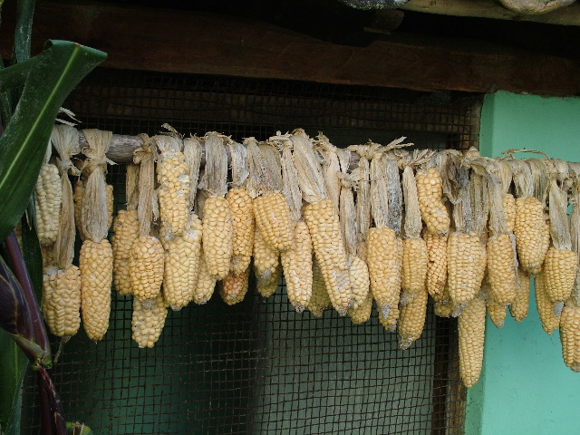DSCF2642.JPG