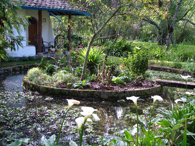 DSCF2655.JPG