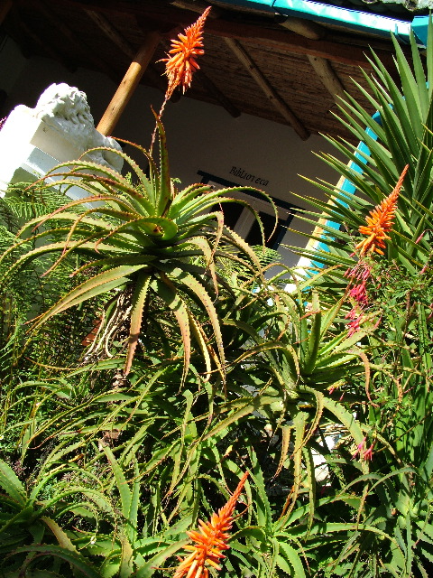DSCF2657.JPG