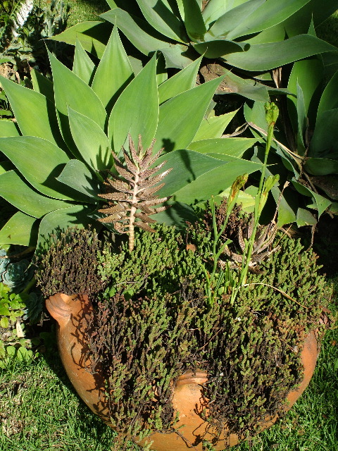 DSCF2658.JPG