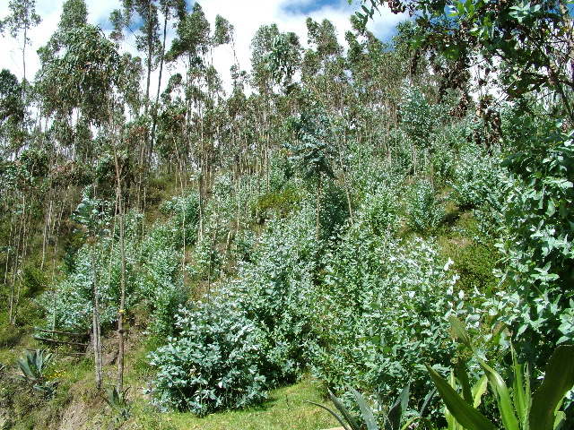 DSCF2670.JPG