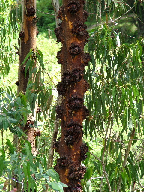 DSCF2672.JPG