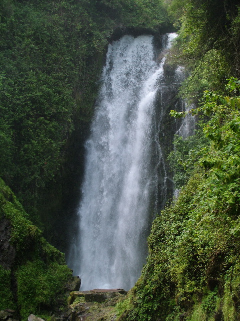 DSCF2674.JPG