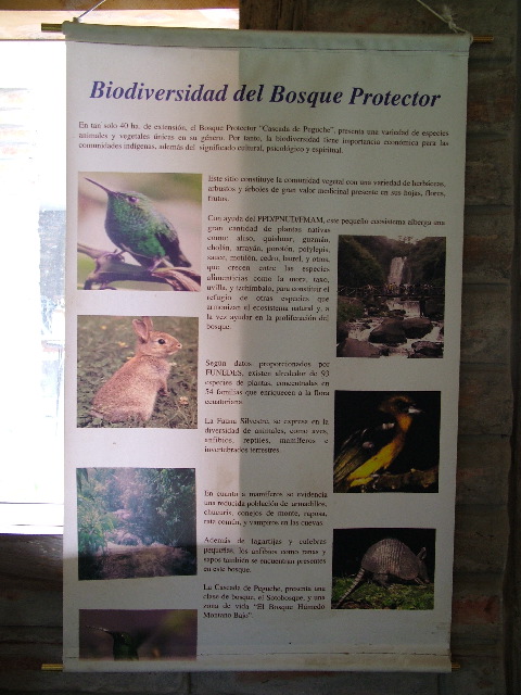 DSCF2680.JPG