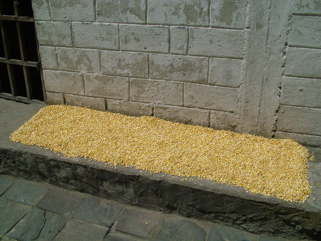 DSCF2685.JPG
