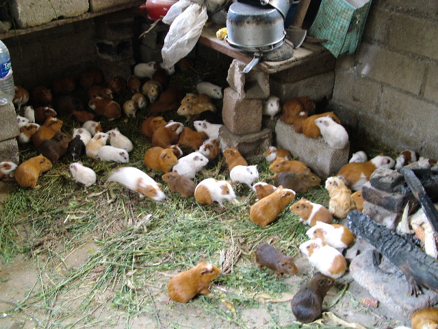 DSCF2691.JPG