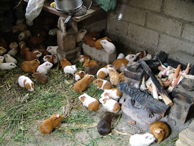 DSCF2692.JPG