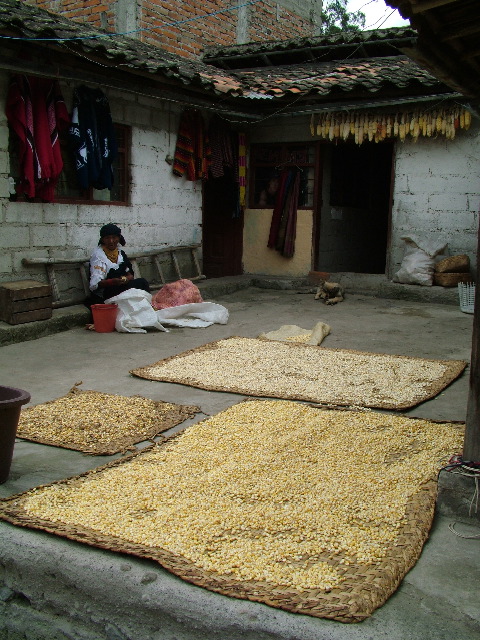 DSCF2694.JPG