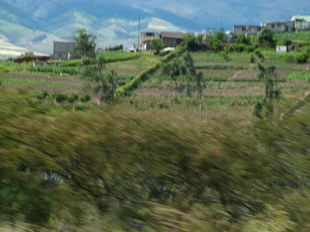 DSCF2721.JPG
