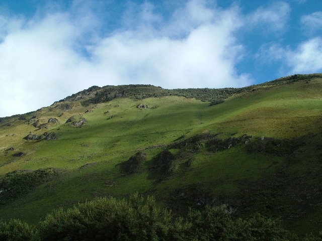 DSCF2722.JPG