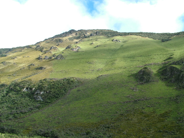 DSCF2723.JPG